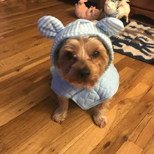 Meet your Posher, Hector